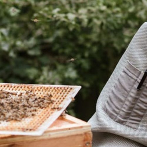 Meet the Beekeeper